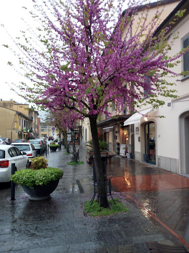 Bar Nazionale - Quarrata
