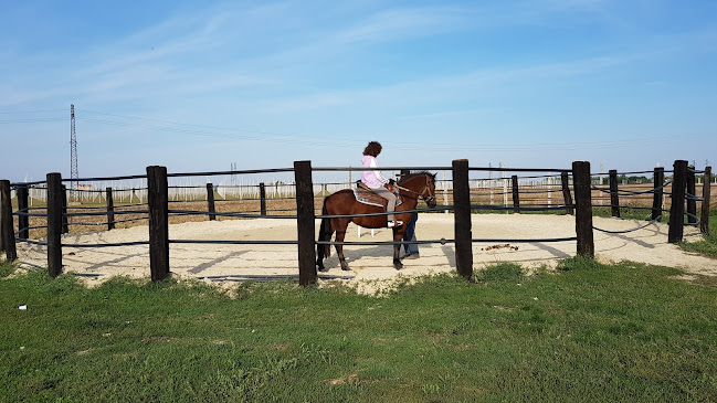 Via V. Tognola, 990, 47034 Sant'Andrea FC