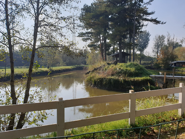 Via Piemonte, 27028 San Martino Siccomario PV