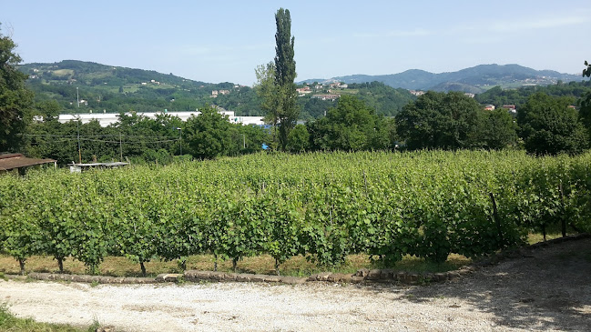 Opinii despre Pratola Serra în Pratola Serra - Ristorazione