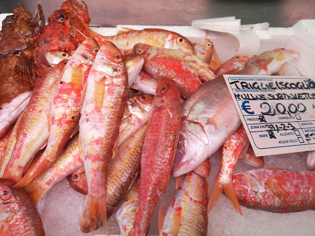 Pescheria Da Regina Phone number