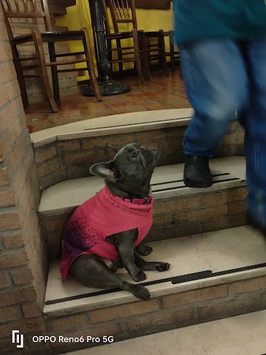 Birreria Stella - Ristorazione