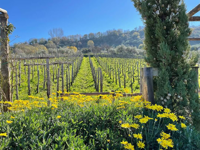 Comentarii opinii despre Dimora Vinea