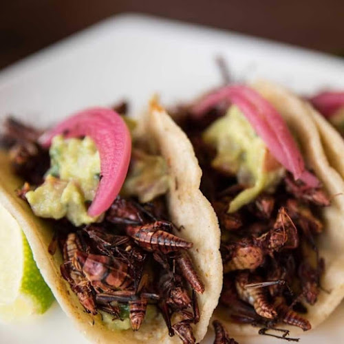 Via Palma Il Vecchio, 2, 24127 Bergamo BG