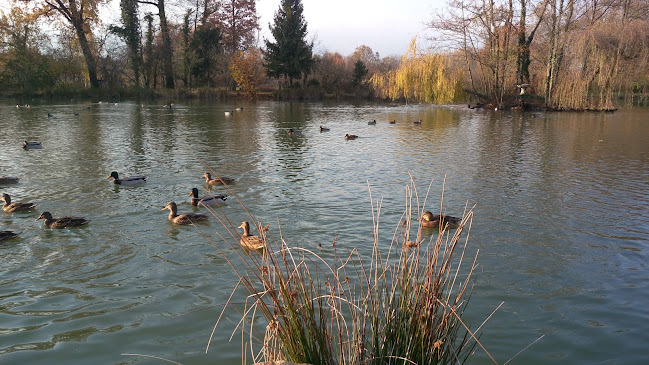 Reviews of La Baracca in Fiano - Ristorazione