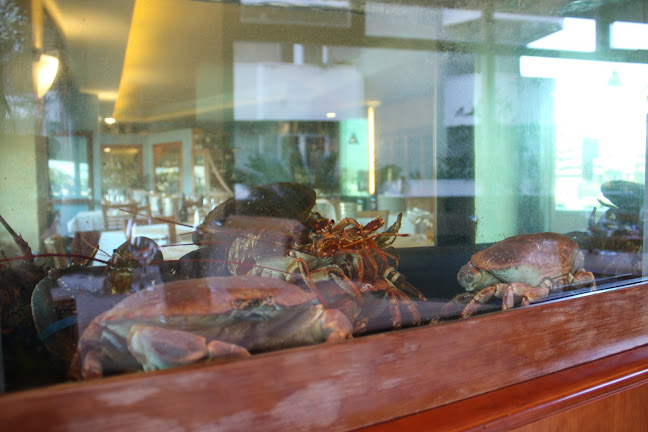 Comentarii opinii despre Carlo Ferraioli