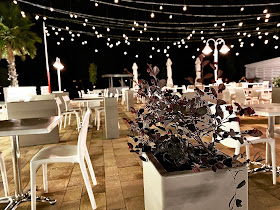 Gustavo - il futuro della tradizione