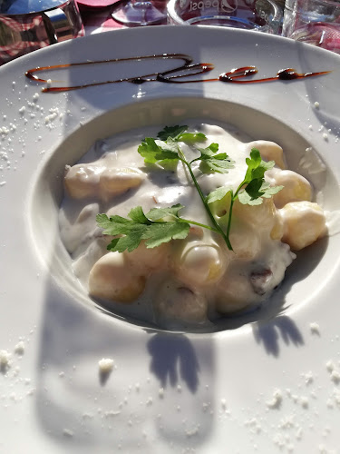 Ristorante Braceria Auditore Open Times