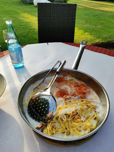 Comentarii opinii despre Bad Verdins