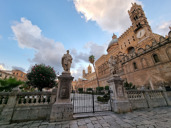 Elvy’s Neapolitan Pizza - Ristorazione