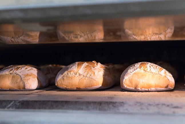 Comentarii opinii despre G.M.D. Snc