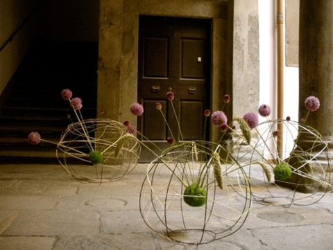 Viale del Tirreno, 8, 56128 Pisa PI