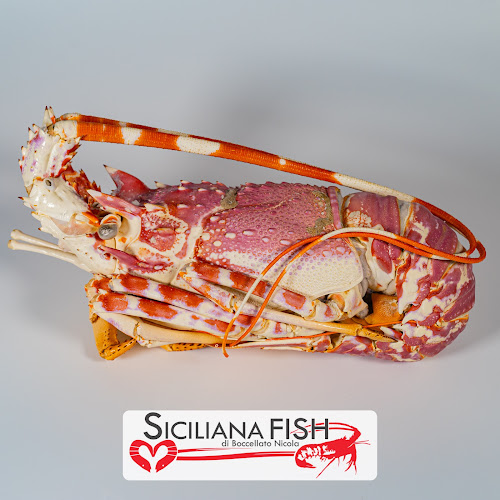 Lungomare Fata Morgana, 80, 91026 Mazara del Vallo TP