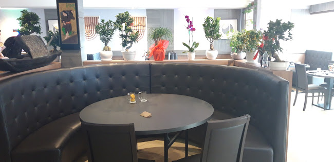 Comentarii opinii despre Sushi Dragon