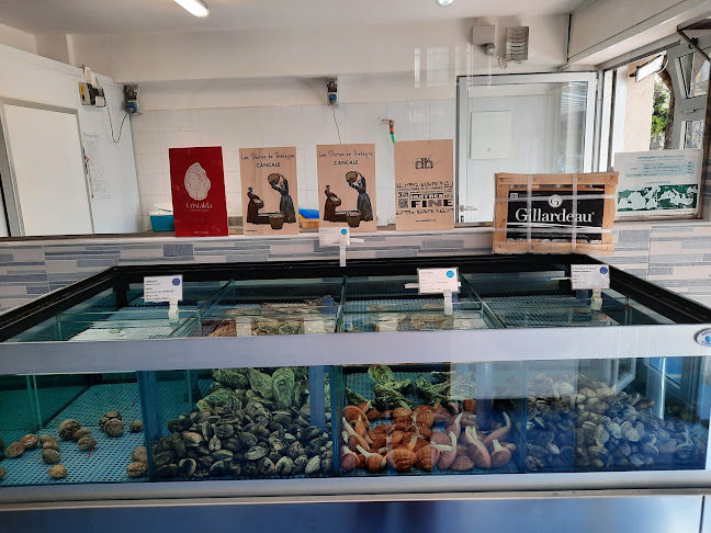 Marintavola sas - Anzio