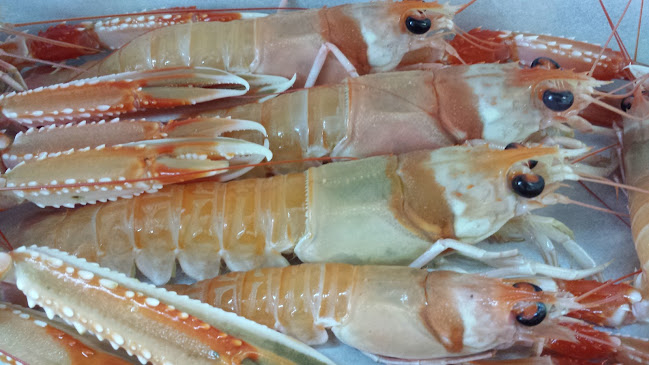 Comentarii opinii despre U' Cafisu