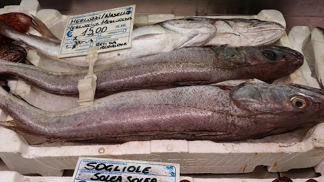 Pescheria Da Regina - Ristorazione