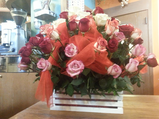 Opinii despre Ristorante Pizzeria La Piazzetta în Ravenna - Ristorazione