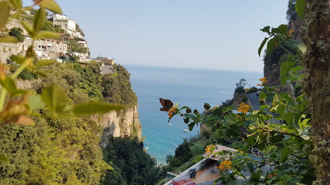 Pescheria CICA con Cucina Amalfi - Ristorazione