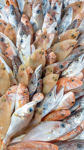 Pescheria Pizzi Pizzi di D'Anna Vincenzo - Napoli