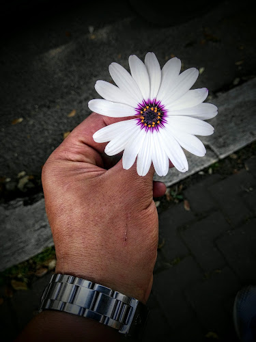 Ristorante Il Torchio