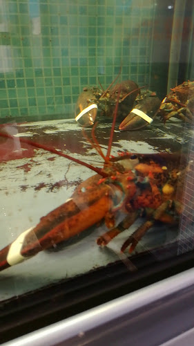 PESCHERIA LA RETE - Sora