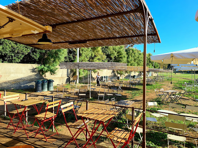 Comentarii opinii despre al Polpo Marino