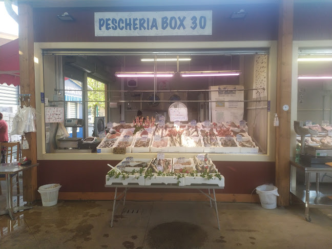 Via Rosa Guarnieri Carducci, box 30, 00145 Roma RM