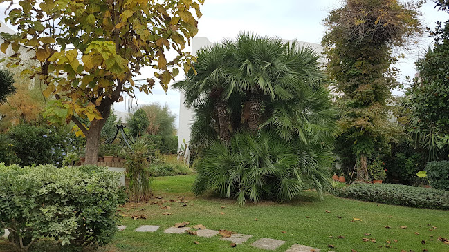 Comentarii opinii despre Pizzeria M.I.A.- Made In Abruzzo