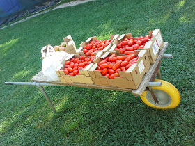 AGRITURISMO "TERRA E VITA"