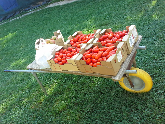 AGRITURISMO "TERRA E VITA"