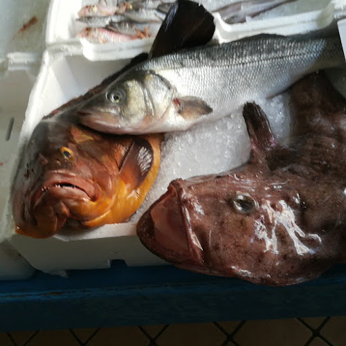 Pescheria Marconi - Casavatore