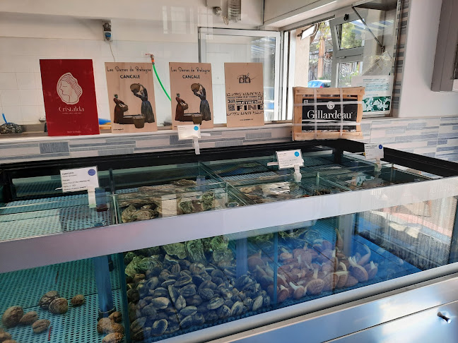 Marintavola sas - Anzio