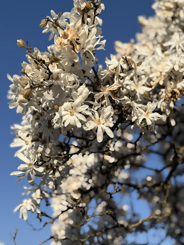 Fortezza 59 - Pistoia