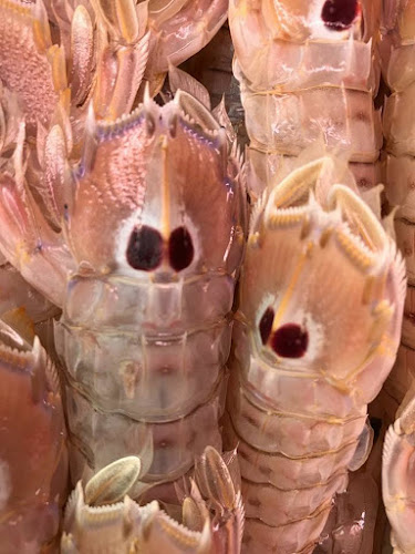 Pescheria da Ada - Monteprandone