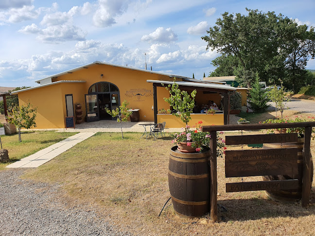 Brasseria della Fonte - Ristorazione