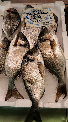 Pescheria Da Regina Open Times