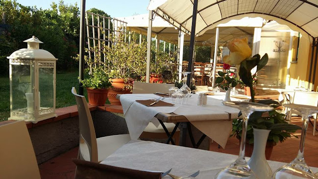 Ristorante Osteria IL FORNELLO