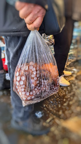 Comentarii opinii despre Pescheria Pizzi Pizzi di D'Anna Vincenzo