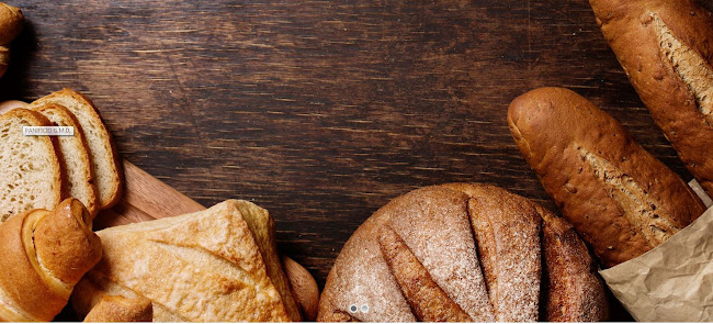 Via Andrea Sansovino, 243/65/L, 10151 Torino TO