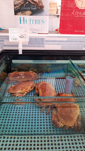 Marintavola sas - Ristorazione