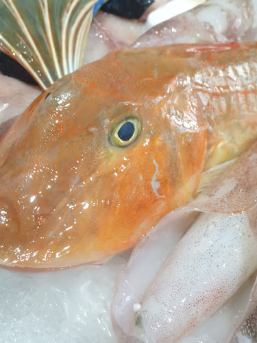 Pescheria Il Battello - Pescara