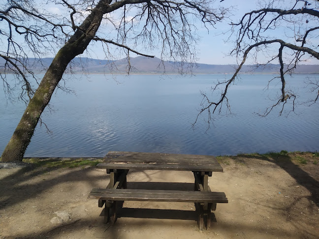 Opinii despre Lago Di Vico în Ronciglione - Ristorazione