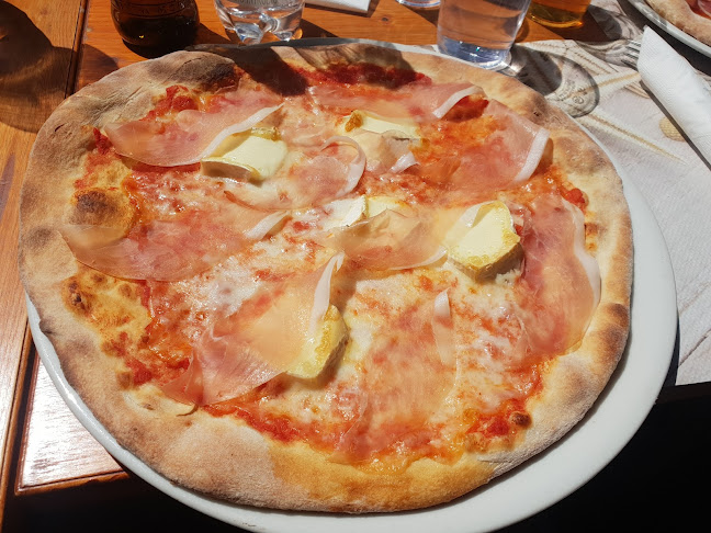 Comentarii opinii despre Myosotis