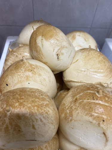 Via Giuseppe Mazzini, 20, 20094 Corsico MI