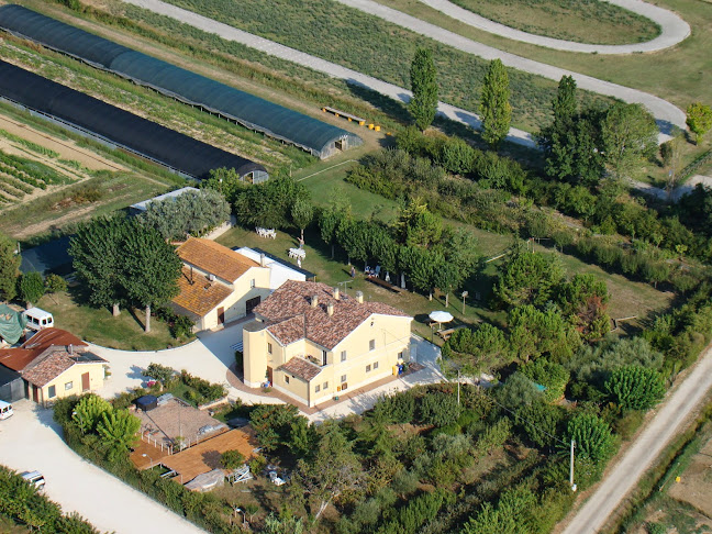 AGRITURISMO "TERRA E VITA" - Recanati