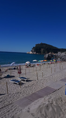 Opinii despre Ristorante Cinese Corona Di Giada în Nichelino - Ristorazione