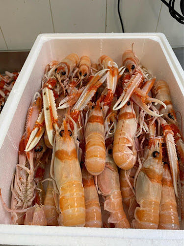 Comments and reviews of Costa Azzurra - Pescheria - GastroPescheria