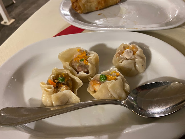 Opinii despre Ristorante Cinese Bambu' în Fucecchio - Ristorazione