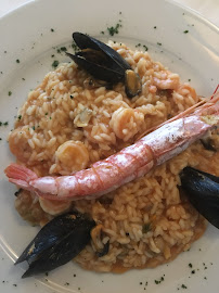 Comments and reviews of Zenzero